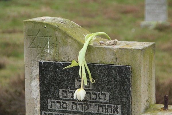 Bergen-Belsen   109.jpg